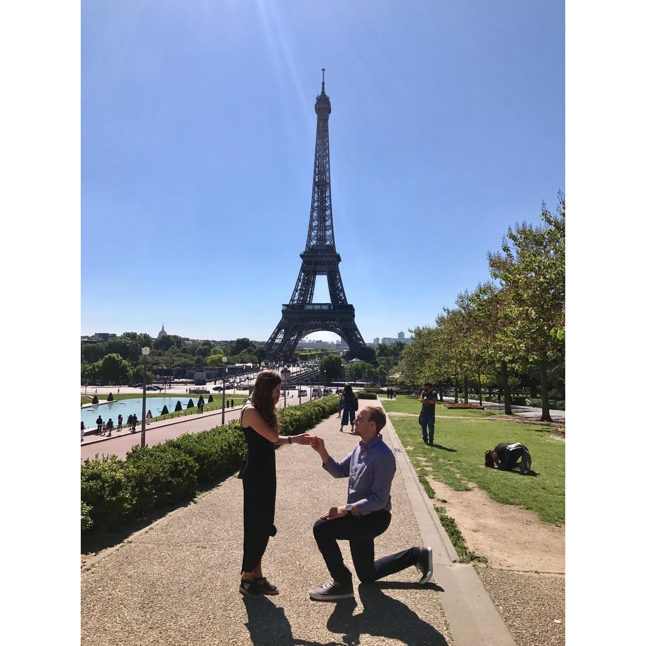 The proposal!