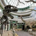 North Carolina Museum of Nature