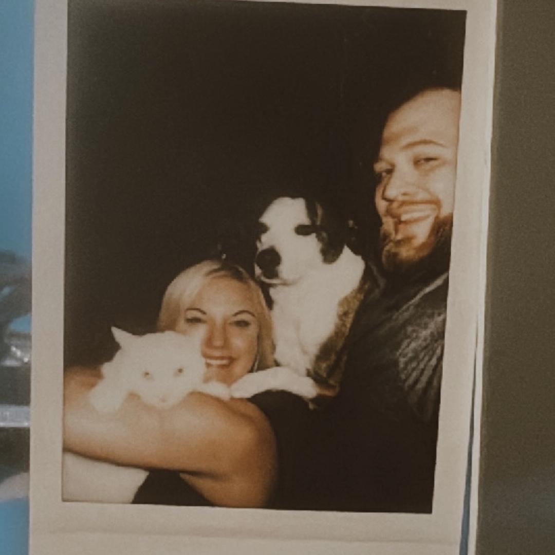 The fur fam in the new apartment