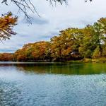 Patapsco Valley State Park - Hollofield Area