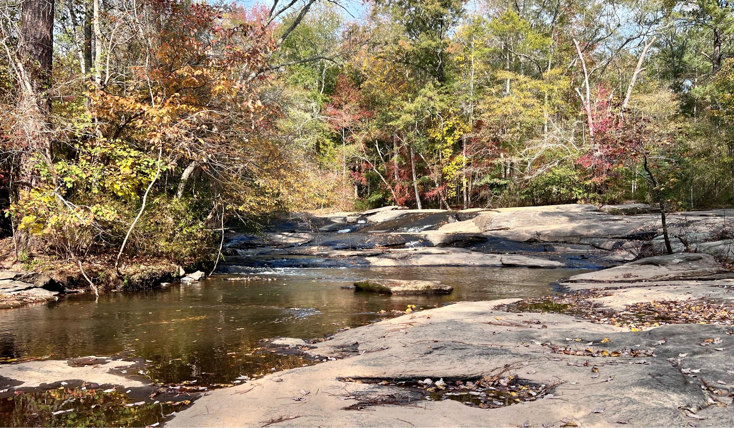 The Wedding Website of Fiana Thacker and Forest Lee