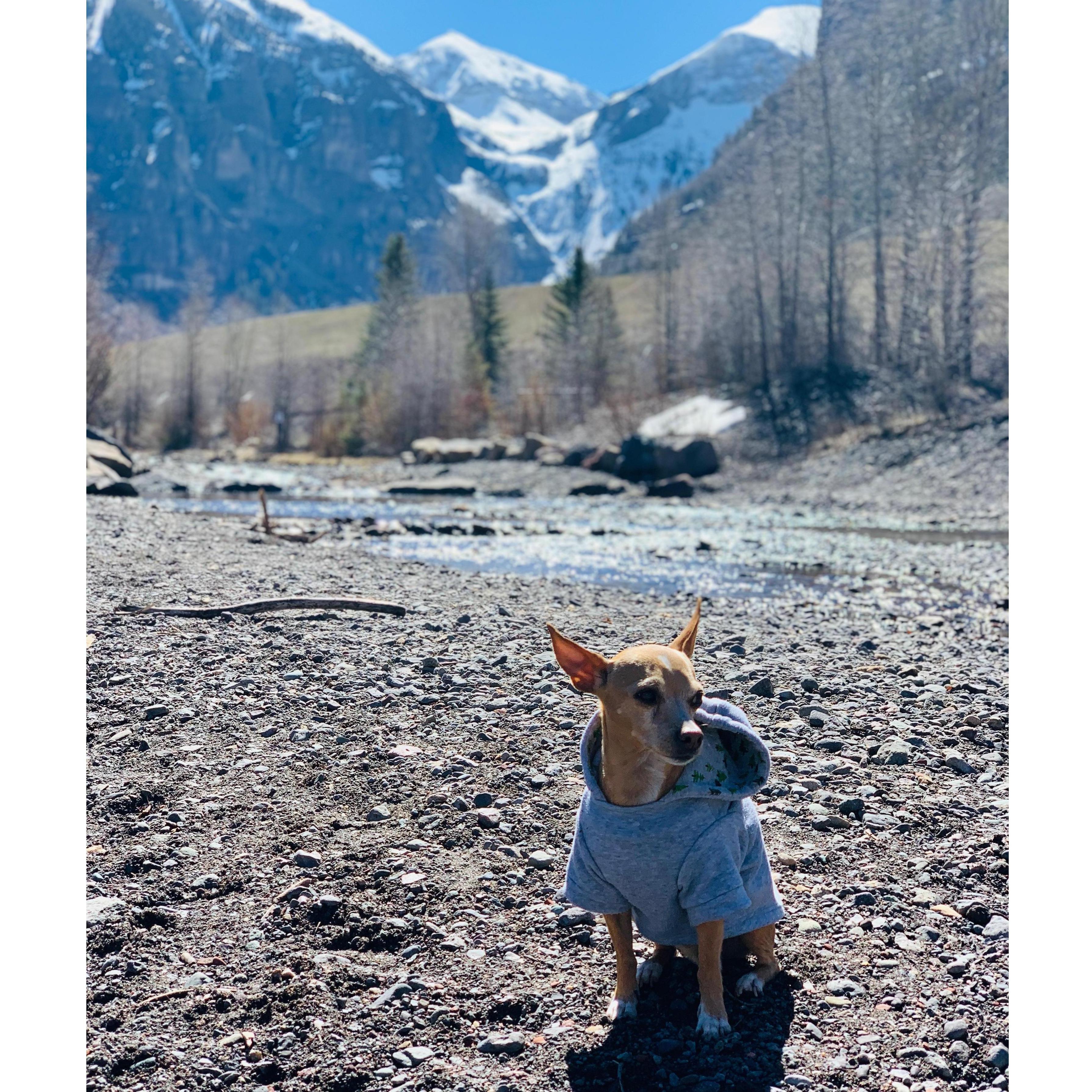 He loves traveling