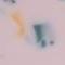 Blush Terrazzo