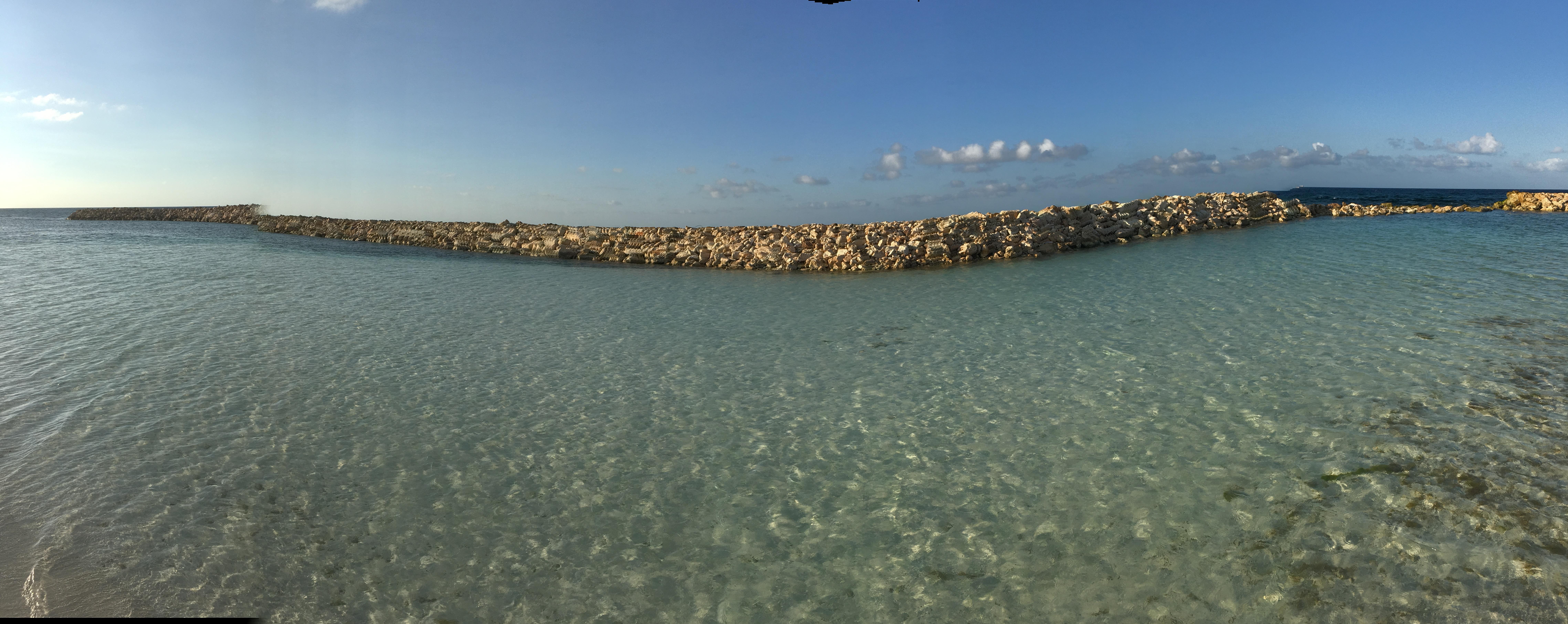 The Wedding Website of Gary Baker and Stephen Brent