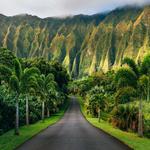 Ho’omaluhia Botanical Garden