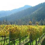 Applegate Valley