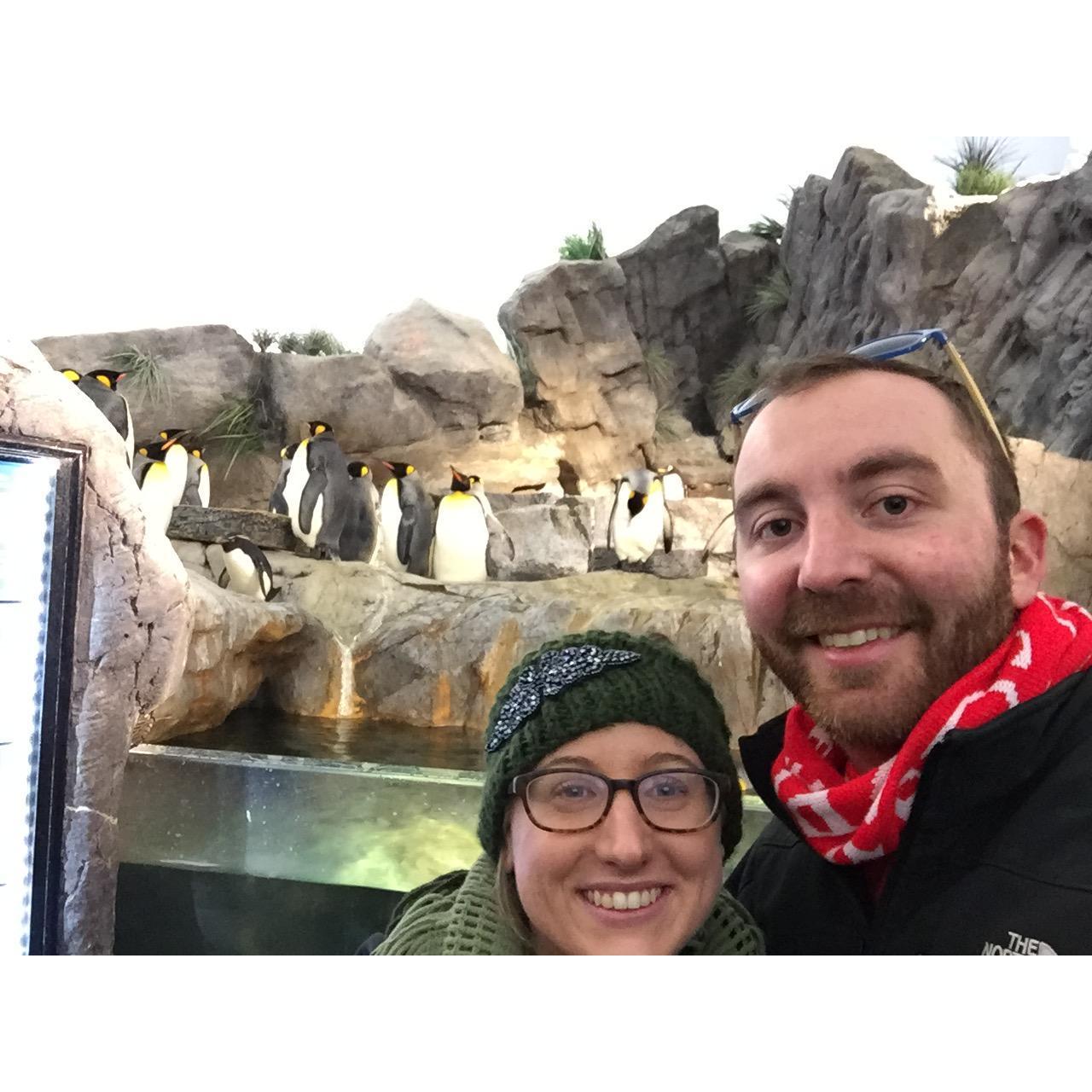 The St. Louis Zoo