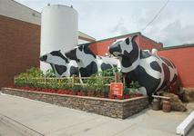 Ashe County Cheese Factory and Store