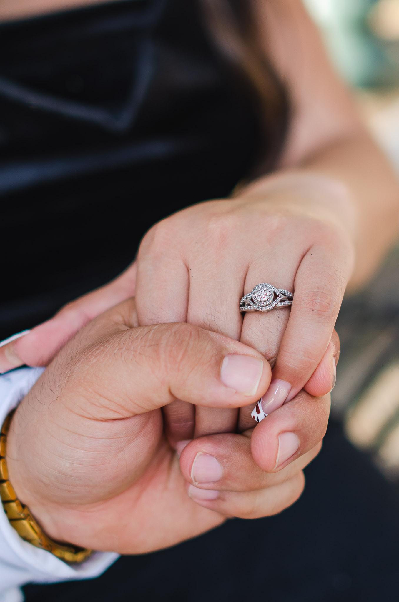 The Wedding Website of Lily Alvarez and Oscar Flores