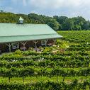 Cape May Winery