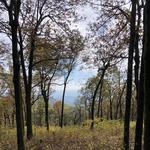 Oglethorpe Mountain Trail