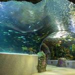 Virginia Aquarium & Marine Science Center