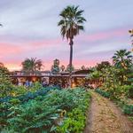 Flora Farms