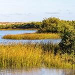 Anastasia State Park