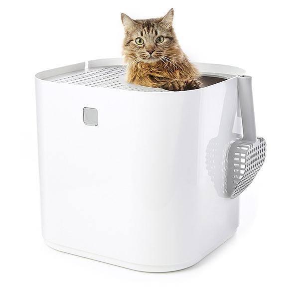Modkat Litter Box in white