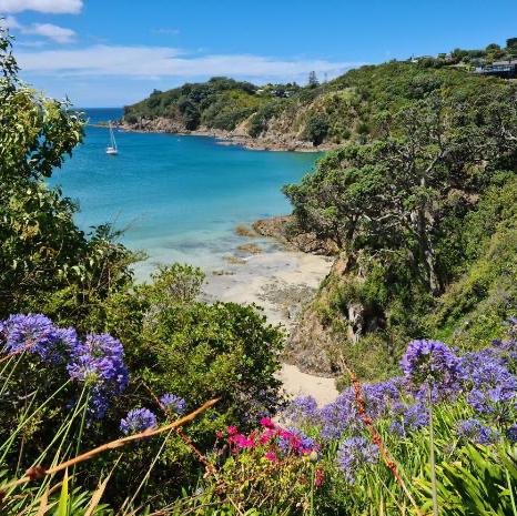 Waiheke Island Tour (New Zealand)