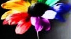 Footer image