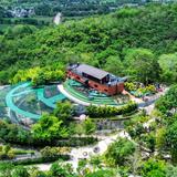 Amaya View