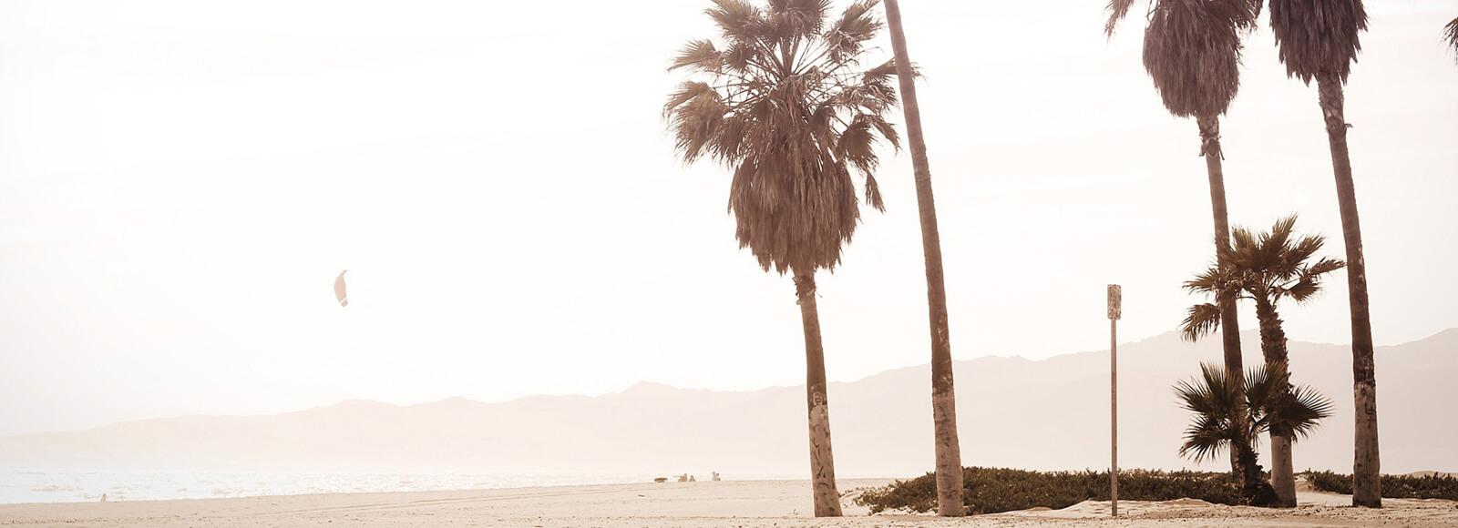 8914220b-5838-4493-8a0a-c569f77abff9