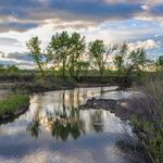 South Platte Park & Carson Nature Center