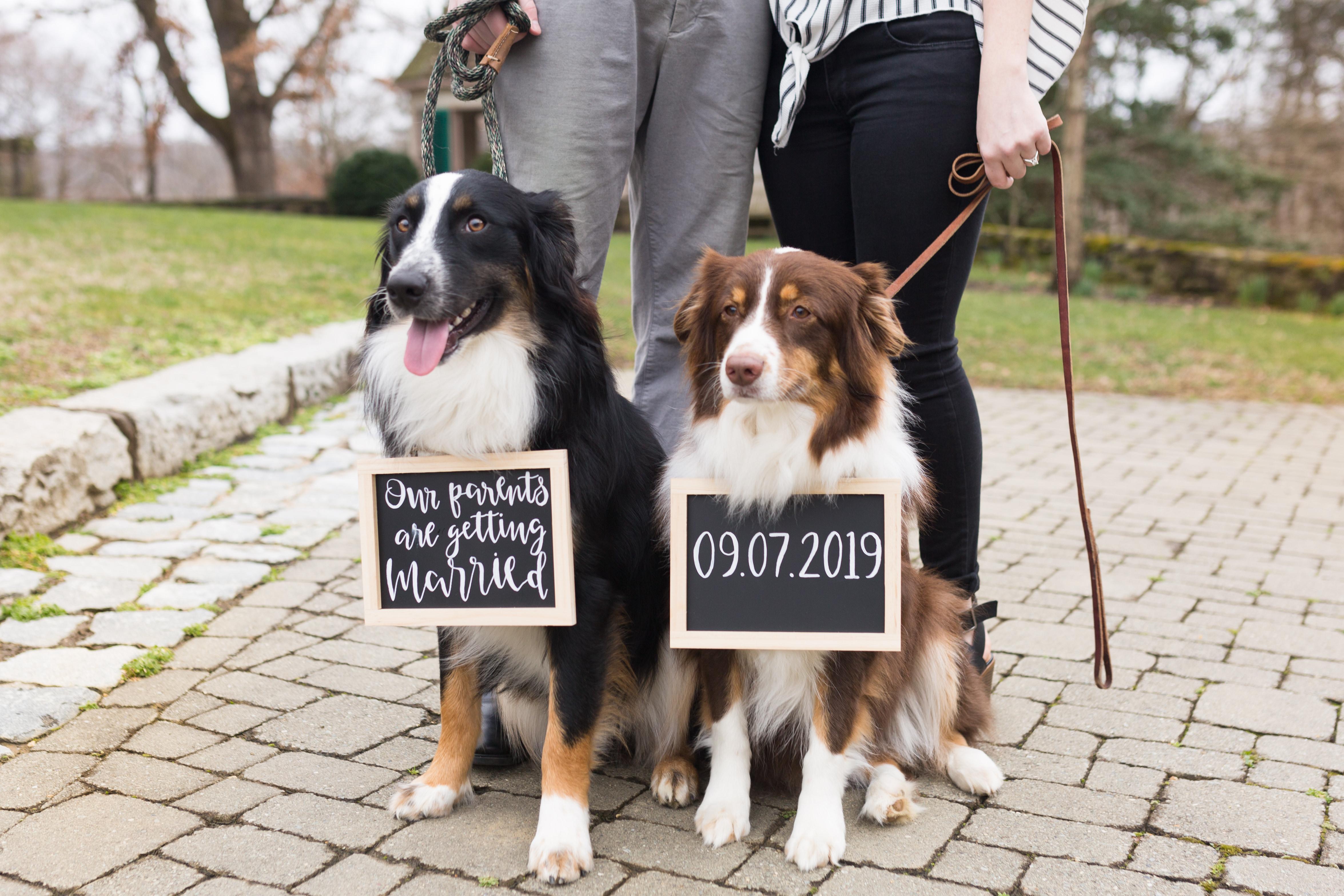 The Wedding Website of MacKenzie Atkins and Darren Pope