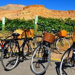 Palisade Wine Tours