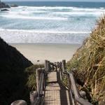 Sand Dollar Beach