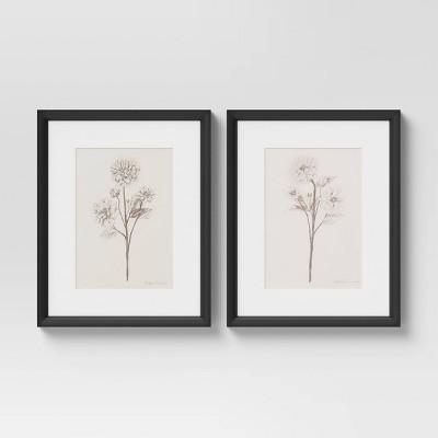 (Set of 2) 16" x 20" Framed Floral Sketch Framed Wall Art White - Threshold™