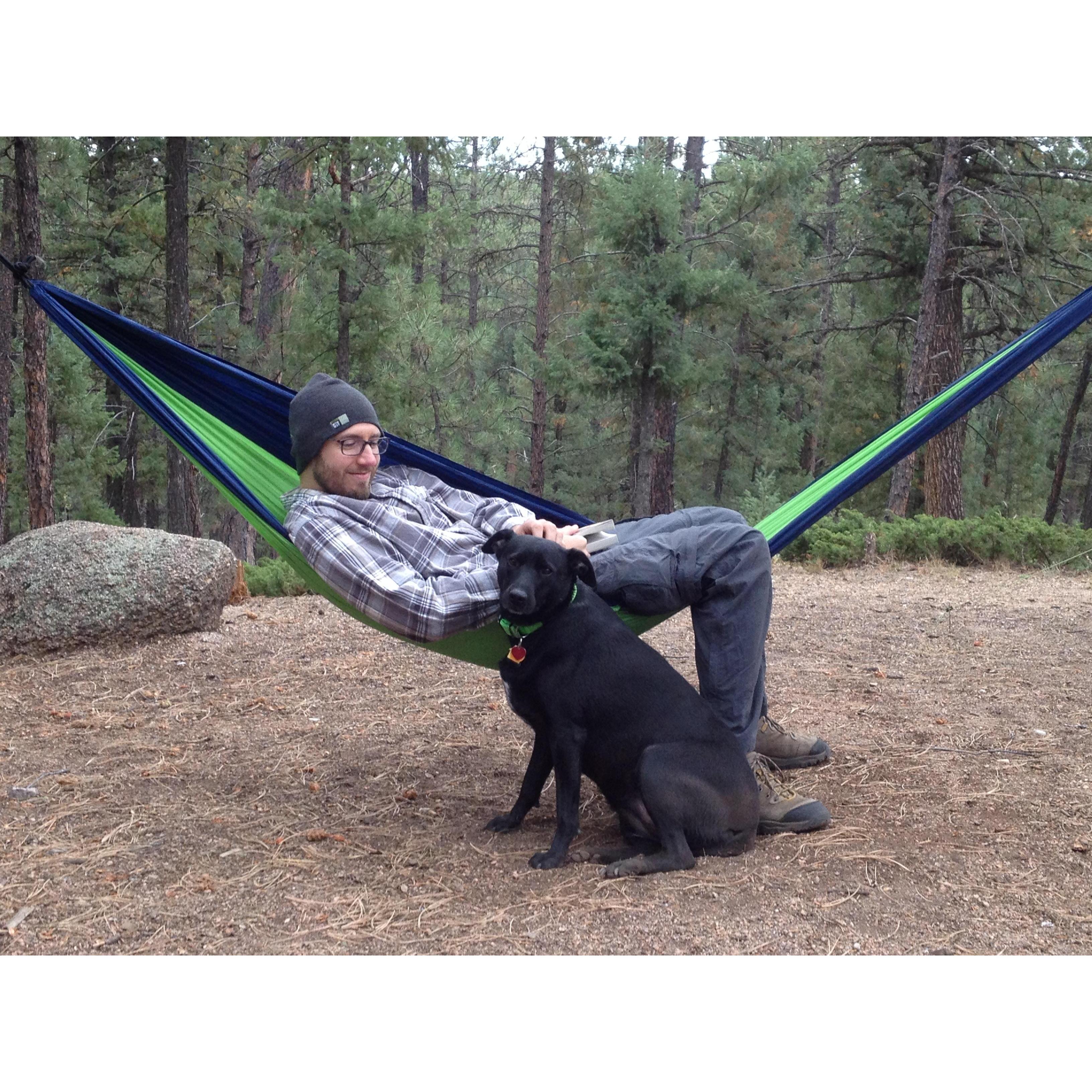 Happy camping dog