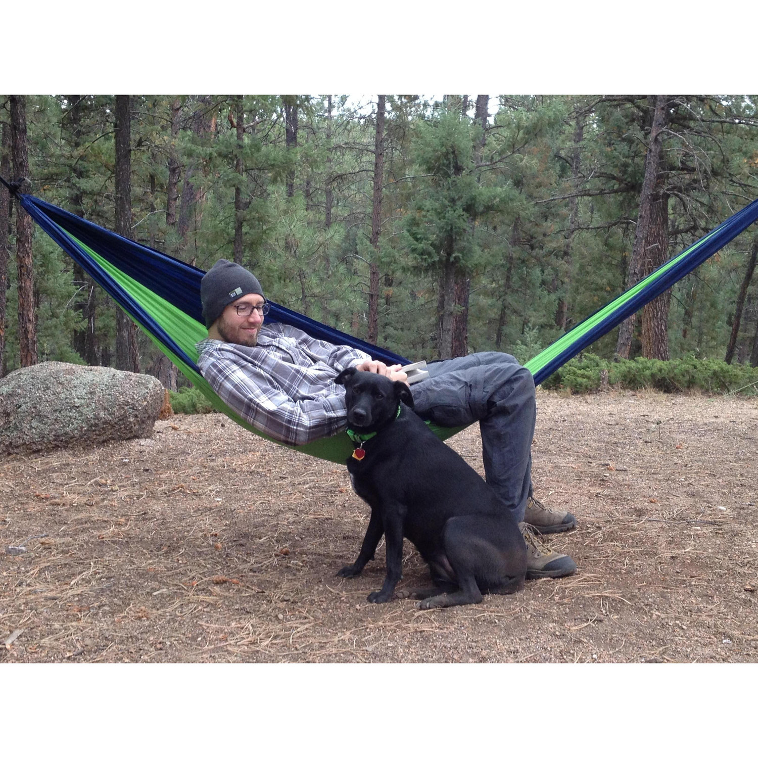 Happy camping dog