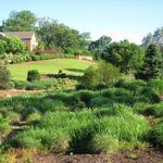 South Carolina Botanical Gardens