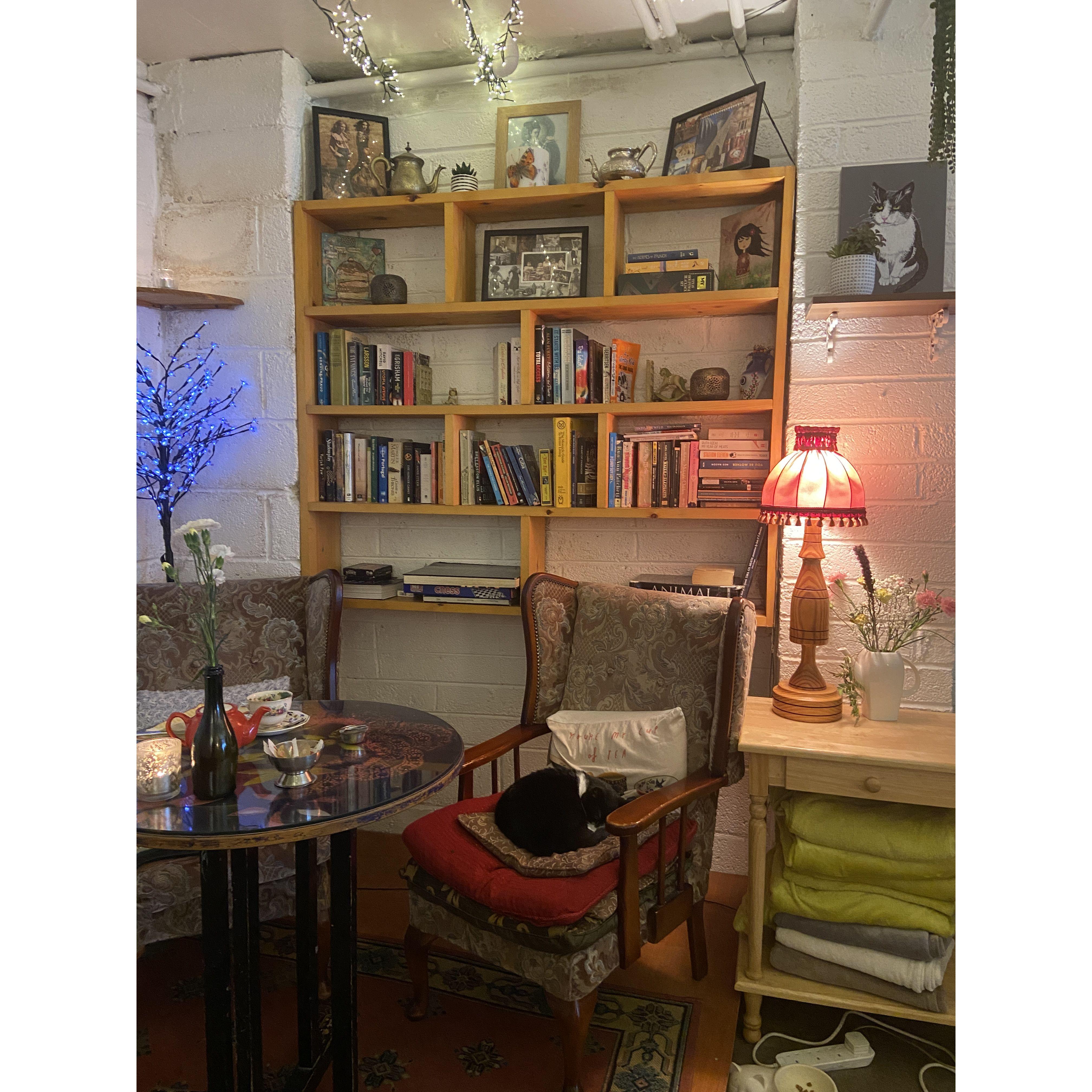 Some Irish tea shops might come with a cuddly cat.  Claddagh.  4/10/24