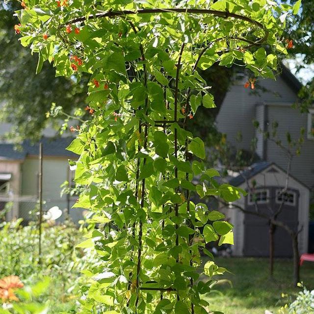 Achla Mushroom Trellis