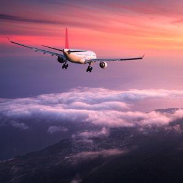 Plane Ticket Fund