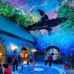 St. Louis Aquarium at Union Station