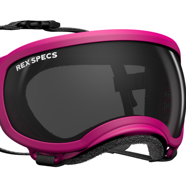 Doggles for Basil!