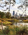 Lincoln Park Zoo