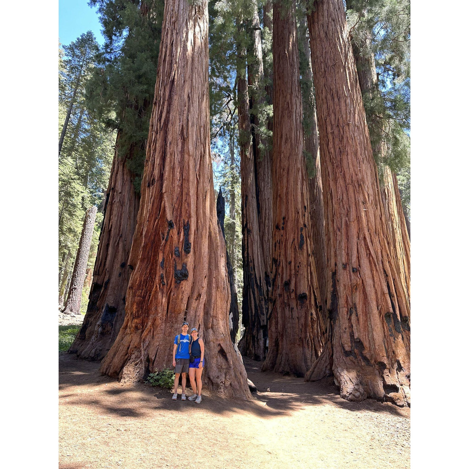 Sequoia National Park
Aug 2024