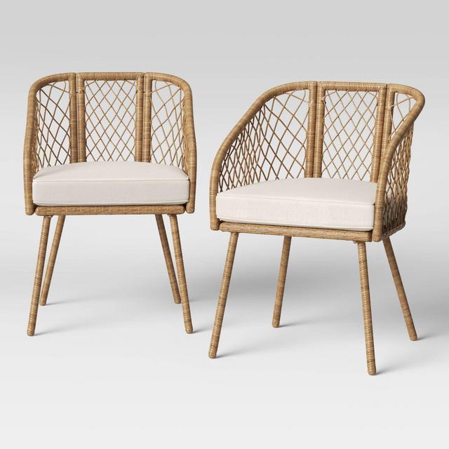 Ayden 2pk Barrel Patio Dining Chair - Threshold™