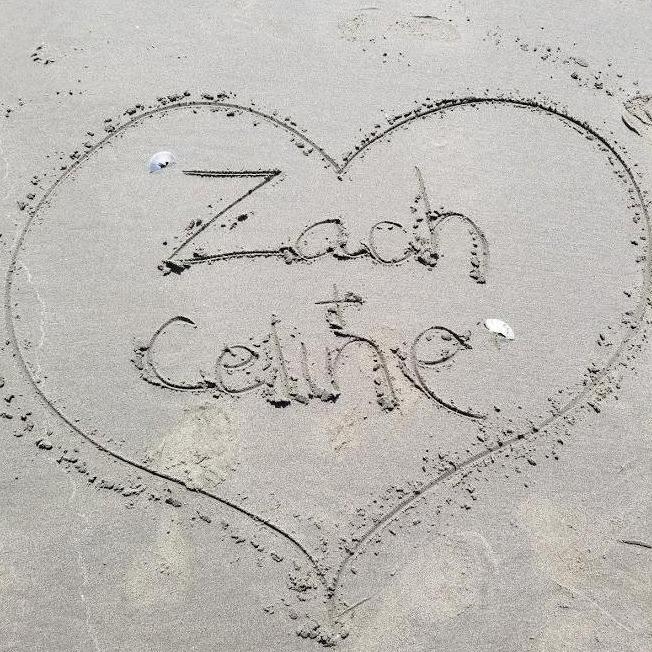 Z+C