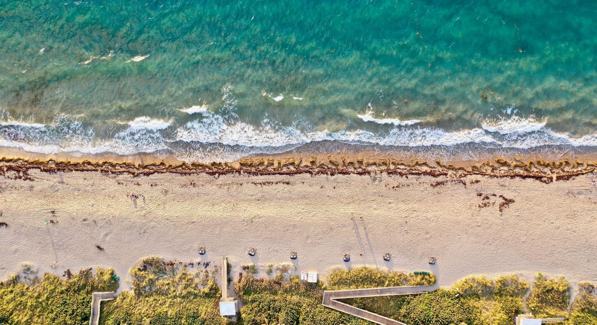 The Wedding Website of Kelly Coughlan and Anthony Garro