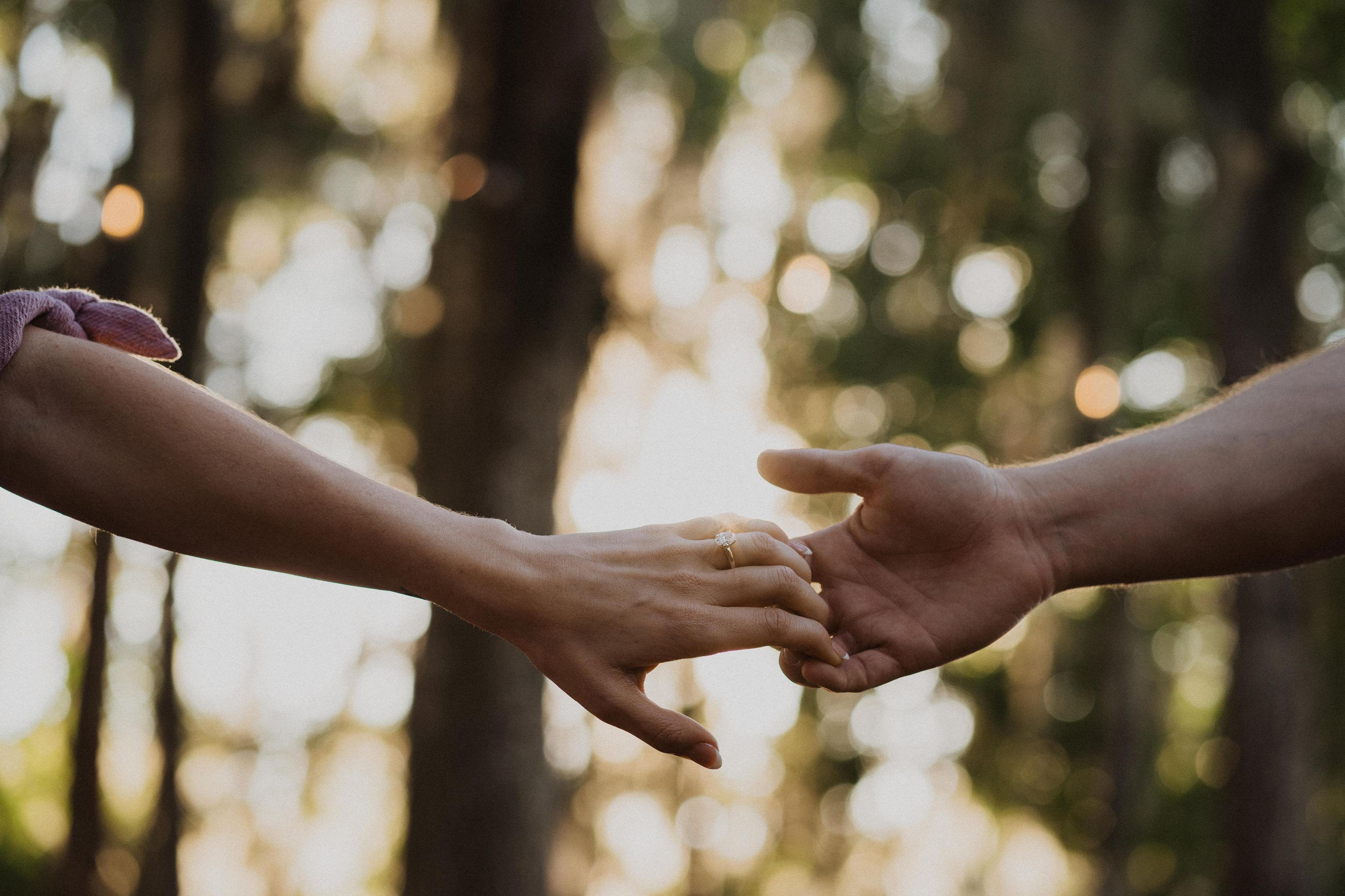 The Wedding Website of Fraser Stewart and Blake Mason