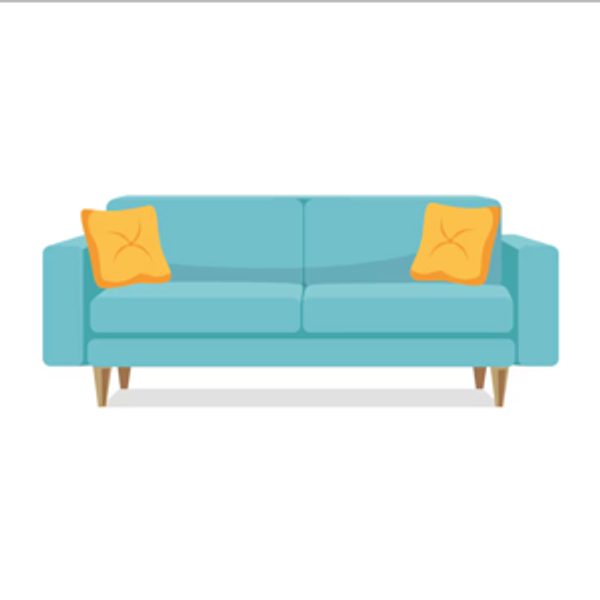 Couch for our new living room