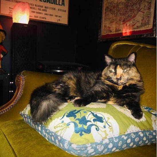 Sweet Florence, looking possessed