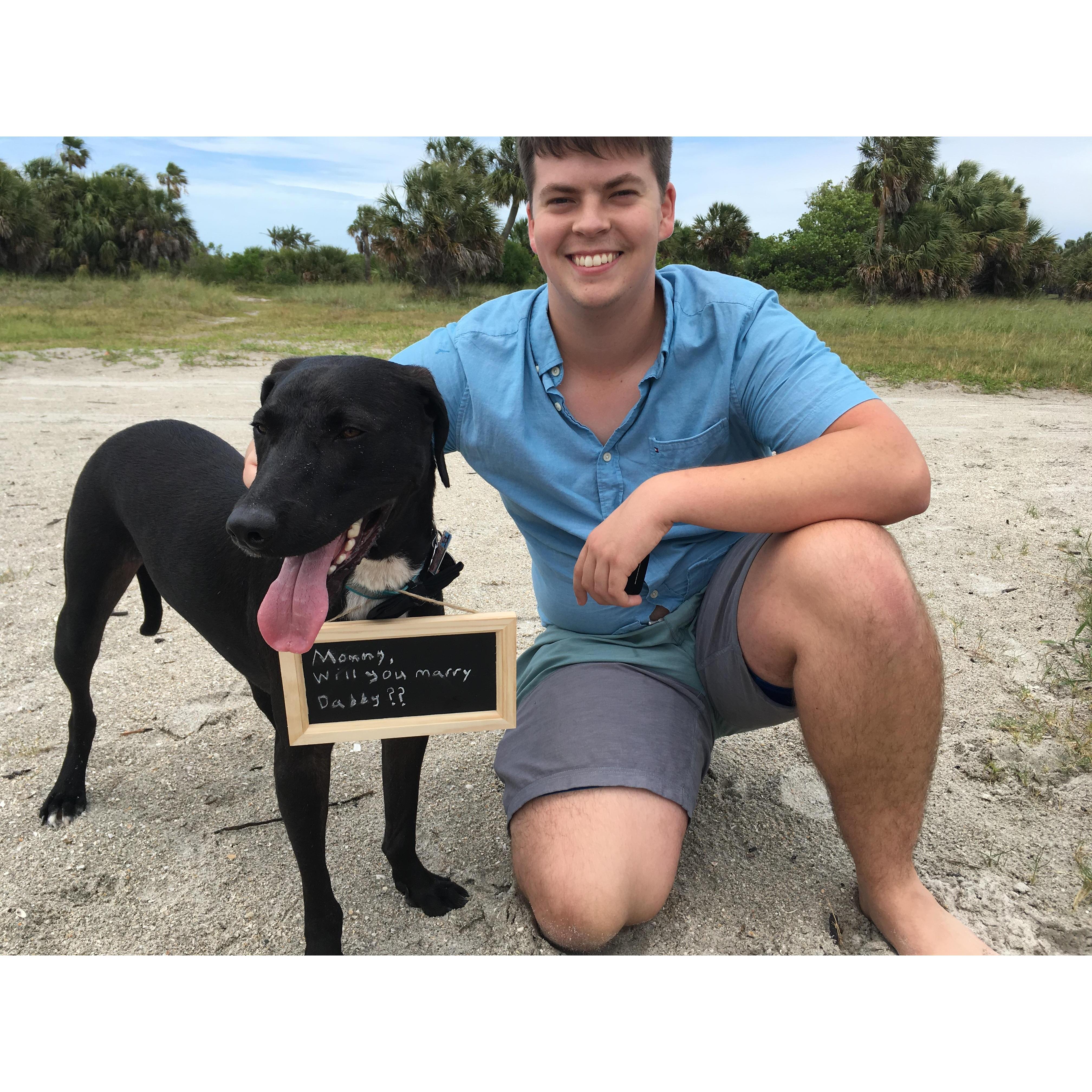 Joey of course assisted in the proposal. Mommy said yes, obviously.