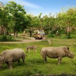 The Amazing Taman Safari Bali