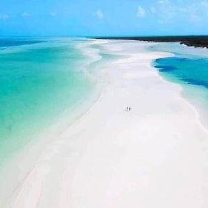 The Honeymoon of Our Dreams