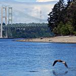 Titlow Beach