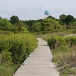 Sullivan's Island Nature Trail