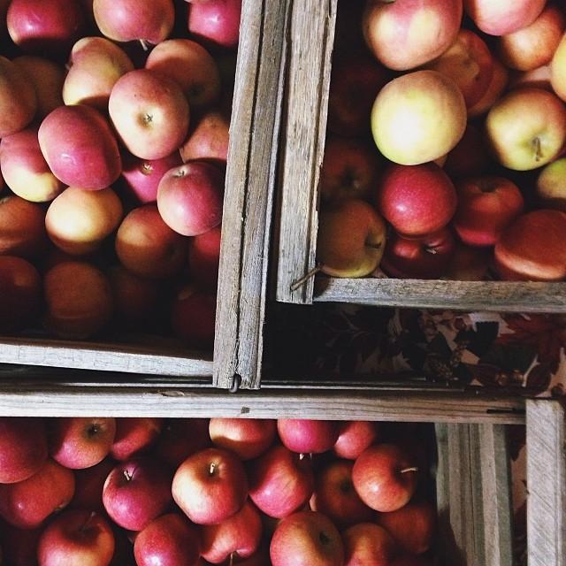 October 14th, 2013:
Apple orchard in Toledo! 🍎